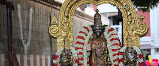 Dakshinayana Punya Kalam ,Aadi Madha pirappu, Purappadu,Video, Divya Prabhandam,Sri Parthasarathy Perumal, Triplicane,Thiruvallikeni,Utsavam,