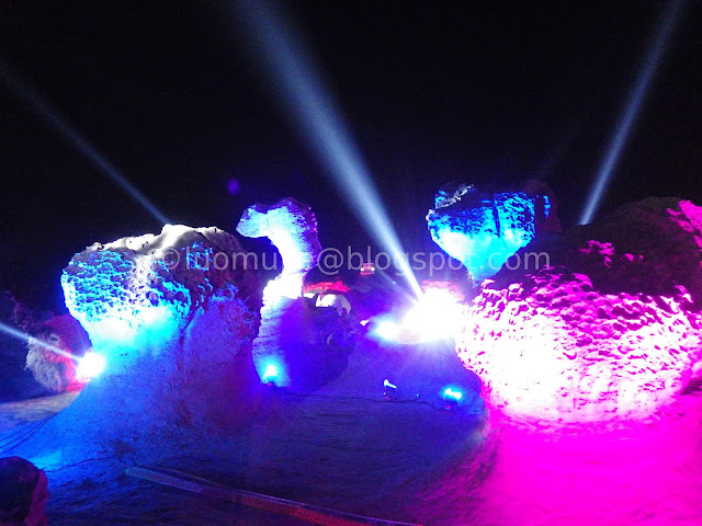 Yehliu Geopark Night Tour