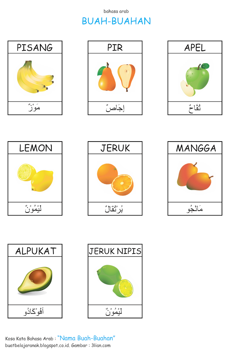 47+ Gambar Buah Buahan Bahasa Arab