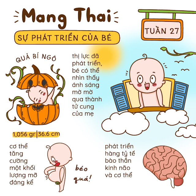 Kiến thức mang thai tuần 27