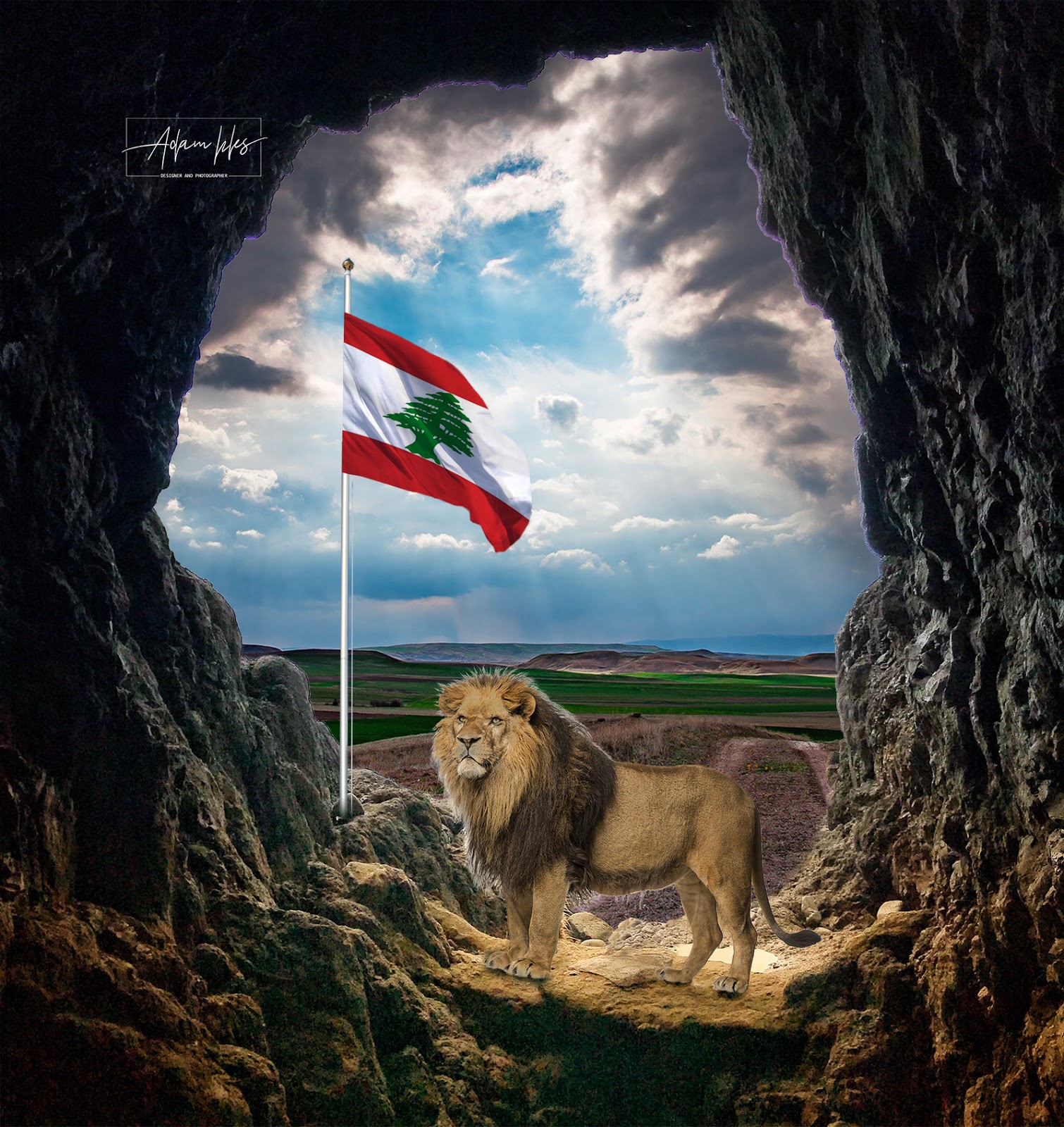 اعلام الوطن العربي