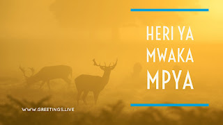 Foggy forest background deers happy new year in kenyan language