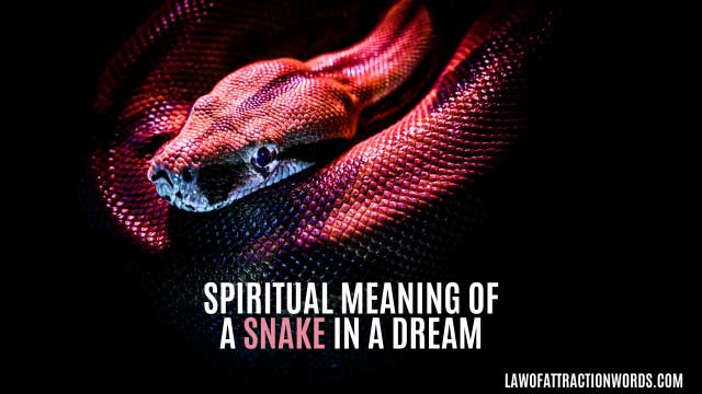 spiritual meaning of a snake in a dream