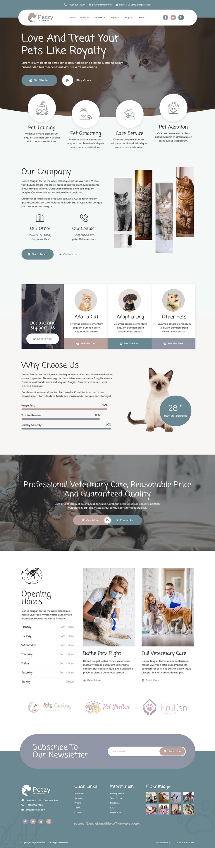 Pet Care and Veterinary Elementor Template Kit