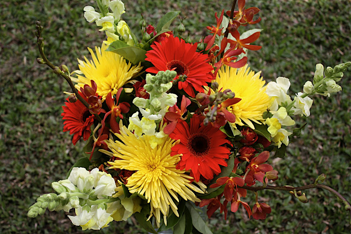 anniversary flower(Photo by Frances Wright)
