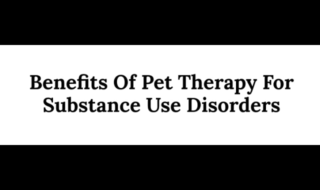 Pet Therapy in Addiction Treatment