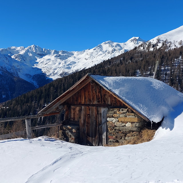 val di rabbi giro delle malghe ciaspole inverno