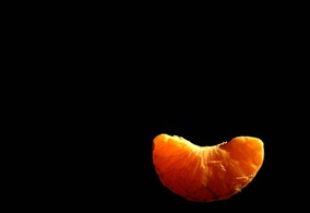 3213746964_00b4d91837[1]