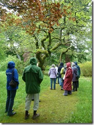 u3a garden group