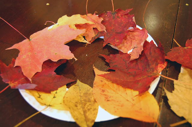  Leaf Wreaths