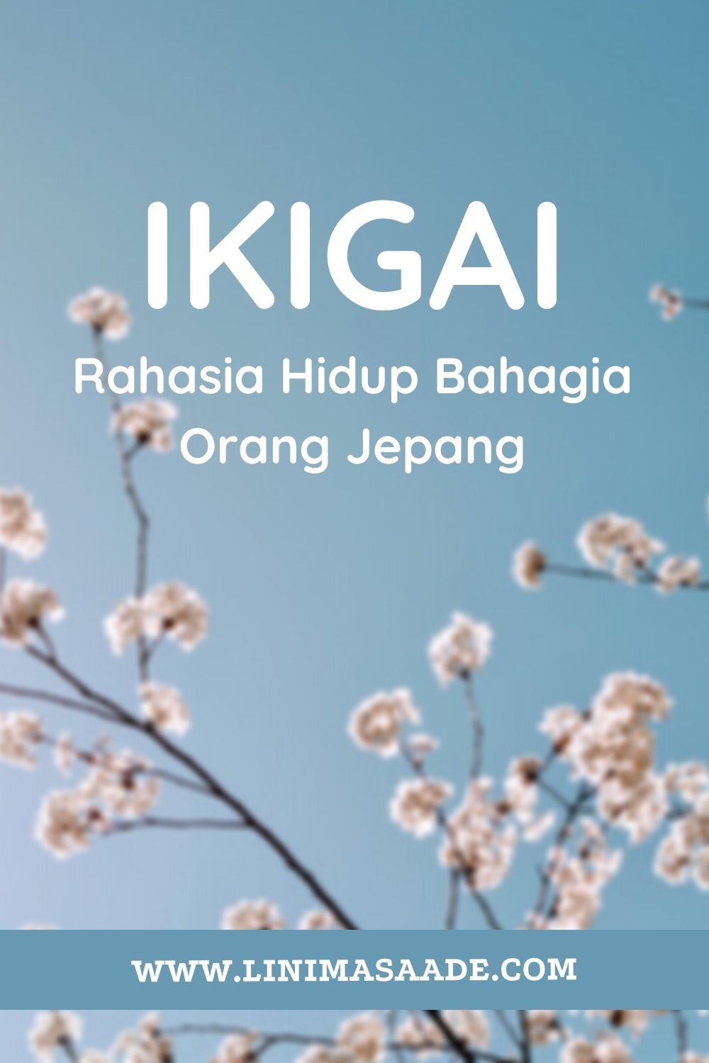 Ikigai, Filosofi Ala Jepang Menemukan Kebahagiaan