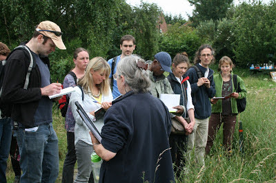 Meadow creation study day