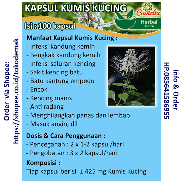 agen Kapsul Kumis Kucing Semarang, distributor Kapsul Kumis Kucing Semarang, efek samping kapsul kumis kucing, gambar kapsul kumis kucing, grosir Kapsul Kumis Kucing Semarang, harga kapsul kumis kucing, harga kapsul kumis kucing di apotik, herbal kumis kucing, jamu kumis kucing, jual Kapsul Kumis Kucing Semarang, kapsul daun kumis kucing, kapsul keji beling dan kumis kucing, kapsul kumis kucing di apotik, kapsul kumis kucing herbal, kapsul kumis kucing inayah, kapsul kumis kucing khasiatnya, Kapsul Kumis Kucing Semarang, kapsul kumis kucing tazakka, kapsul kumis kucing terbaik, kapsul kumis kucing tersedia di apotik, kapsul kumis kucing untuk apa, kapsul kumis kucing untuk kesehatan, khasiat kapsul kumis kucing, kumis kucing, kumis kucing kapsul, manfaat kapsul daun kumis kucing, manfaat kapsul kumis kucing, obat herbal kumis kucing di apotik, obat kapsul kumis kucing, toko Kapsul Kumis Kucing Semarang