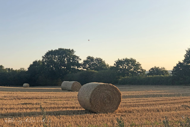 Strohballen im Licht des Sonnenaufgang's