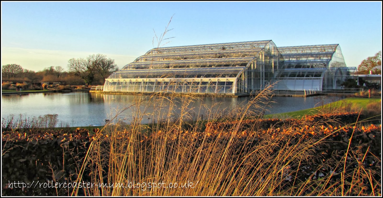 view of the Glasshouse in winter, RHS Wisley