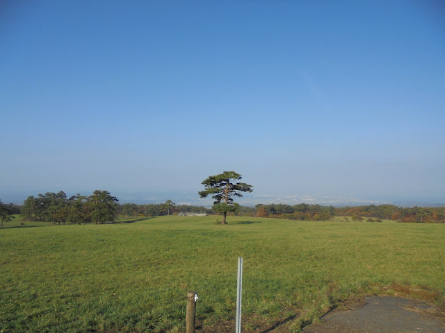 みるくの里の牧草地の風景