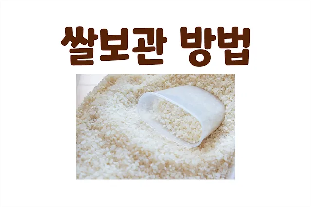 쌀을-신선하게-오래-보관하는-방법과-벌레를-예방하는-방법