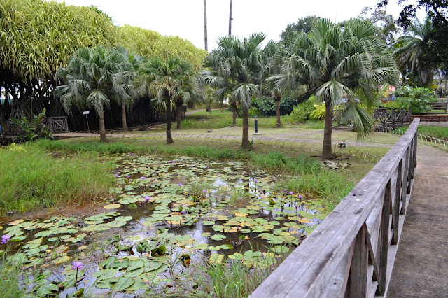 Guyane, Cayenne, visite historique, petit train Koati, jardin botanique