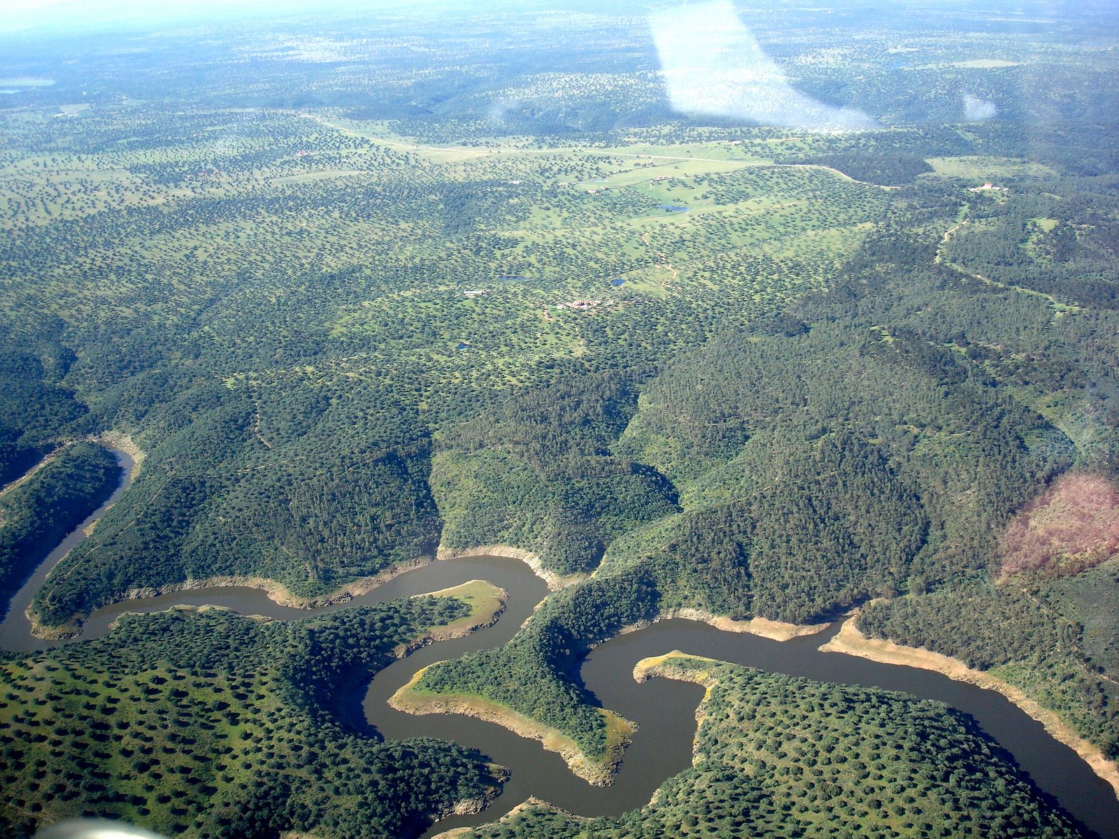 Curvas del Tajo