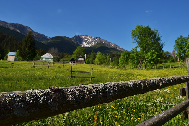 maramures-rodnei-pietrosu