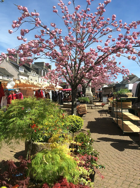 Huelgoat Market, Finistere, Brittany, France