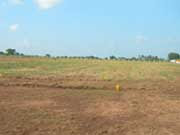 Near Melmaruvathur 1,200 Square Feet Plot Rs. 1.2 Lakh Only