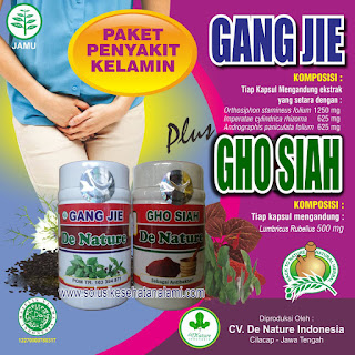 Obat Penyakit Sipilis Ampuh