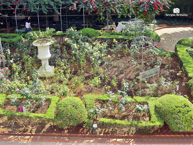Vista do Jardim das Roseiras na Casa das Rosas - Bela Vista - São Paulo