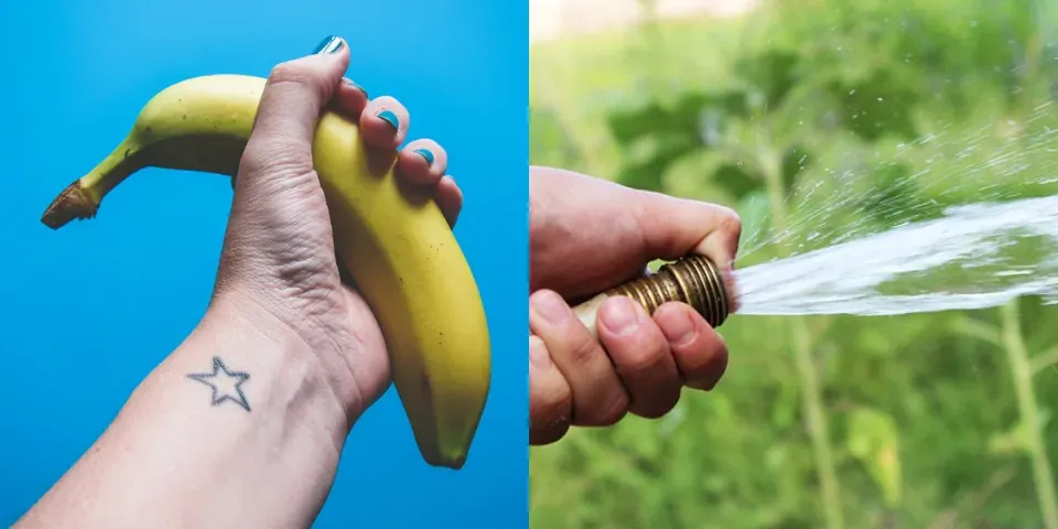 Holding a banana (left) Holding a thumb over the water flowing from a hose forces the water through a smaller opening, speeding up the flow (right)