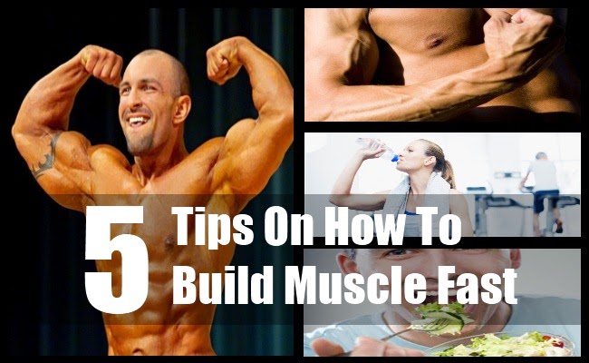 5 Tips on How to Gain Muscle Fast