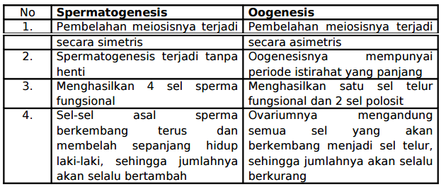 Sistem Reproduksi: Perbedaan Spermatogenesis dan Oogenesis 