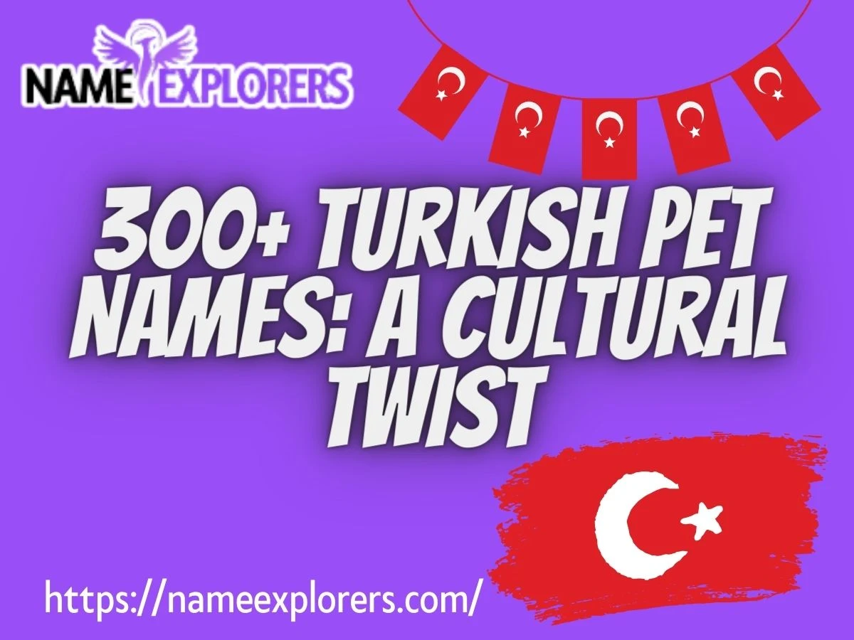 300+ Turkish Pet Names: A Cultural Twist