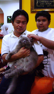 DUNIA KUCING-KUCING KAMI