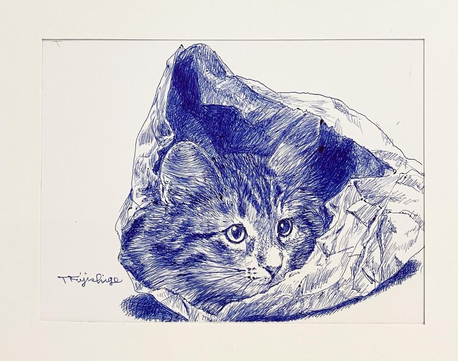 07-Cat-in-a-bag-Cat-Drawings-Hisao-Fujishige-www-designstack-co