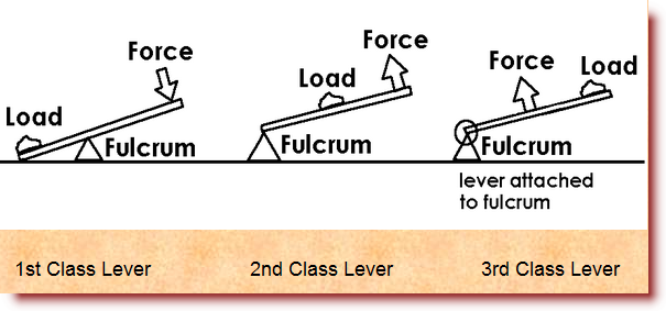 2nd class lever. 2nd class lever. are 2nd Class