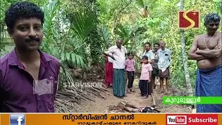 ആട്ടിന്‍ കുഞ്ഞുങ്ങളെ അജ്ഞാത ജീവി കടിച്ചു കൊന്നു. 