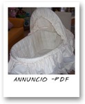 VEDI L'ANNUNCIO IN FORMATO .PDF