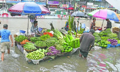 বিপর্যয়ের মুখে ঢাকা by হারুন-আর-রশিদ