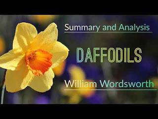9th Class English Daffodils Summary