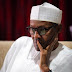 No Country Can Succeed Alone In The War Against Terror-- Buhari