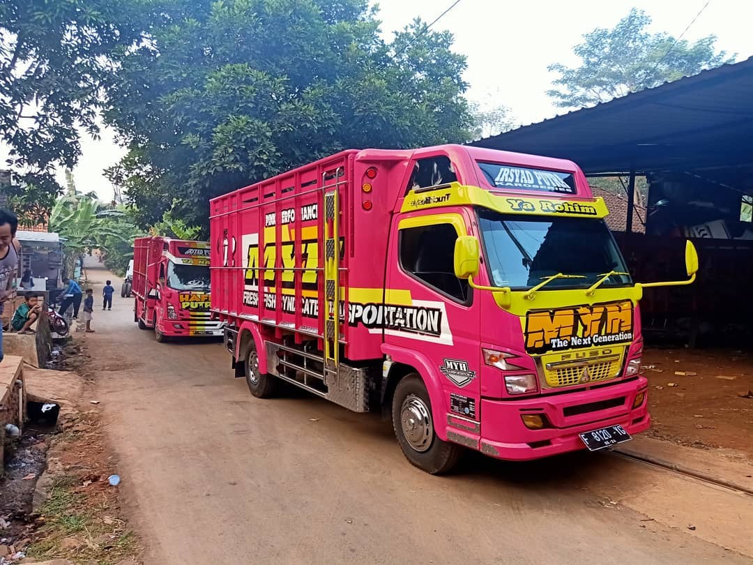 Jual Bak  Truk  Kayu Merbau Warna Merah Variasi  Standar 