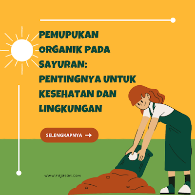 Pemupukan organik pada sayuran