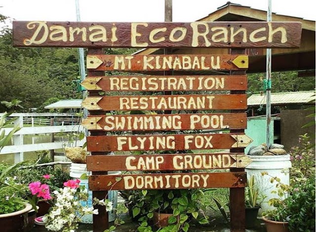 Damai Eco Ranch Lohan Ranau: Tempat Percutian Dan Rekreasi Bersama Keluarga  