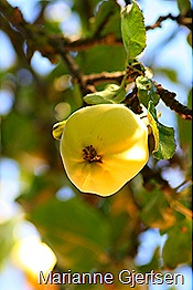 043
