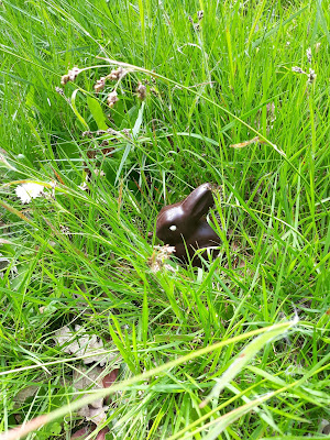 Lapin en chocolat noir caché dans les hautes herbes