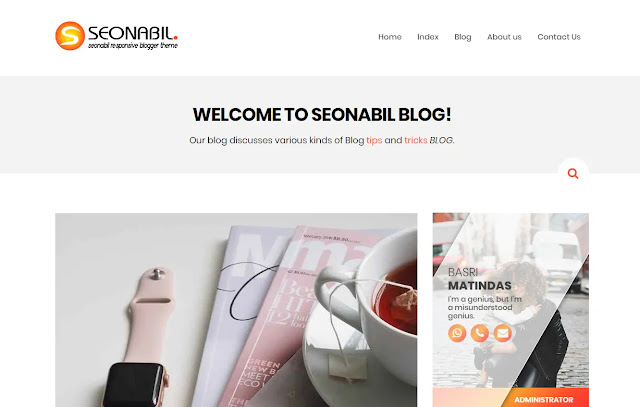 Seonabil Responsive Personal Clean Minimalist Blog Blogger Template Theme