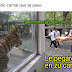 Memes: Tigre y Tigre Toño de kellogs zucaritas.