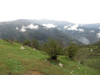 Moutain With Cloud