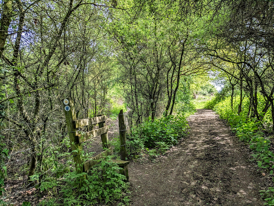 Turn left on Little Berkhamsted footpath 2