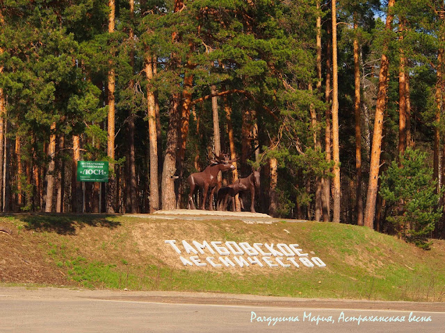 Тамбов фото